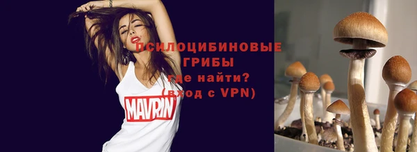 mdpv Осинники