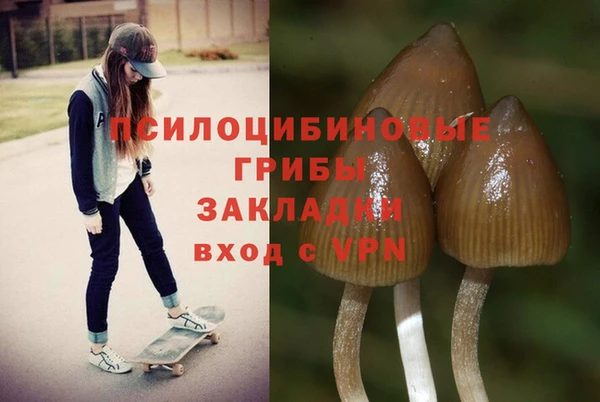 тгк Пестово