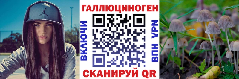 Псилоцибиновые грибы GOLDEN TEACHER  кракен зеркало  Нахабино  закладка 